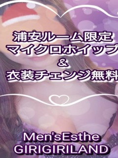マイクロホイップ